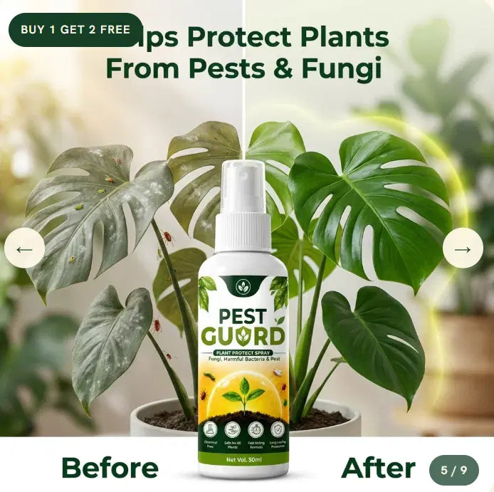 Plant Protect Spray (Buy 1 Get 2 Free)
